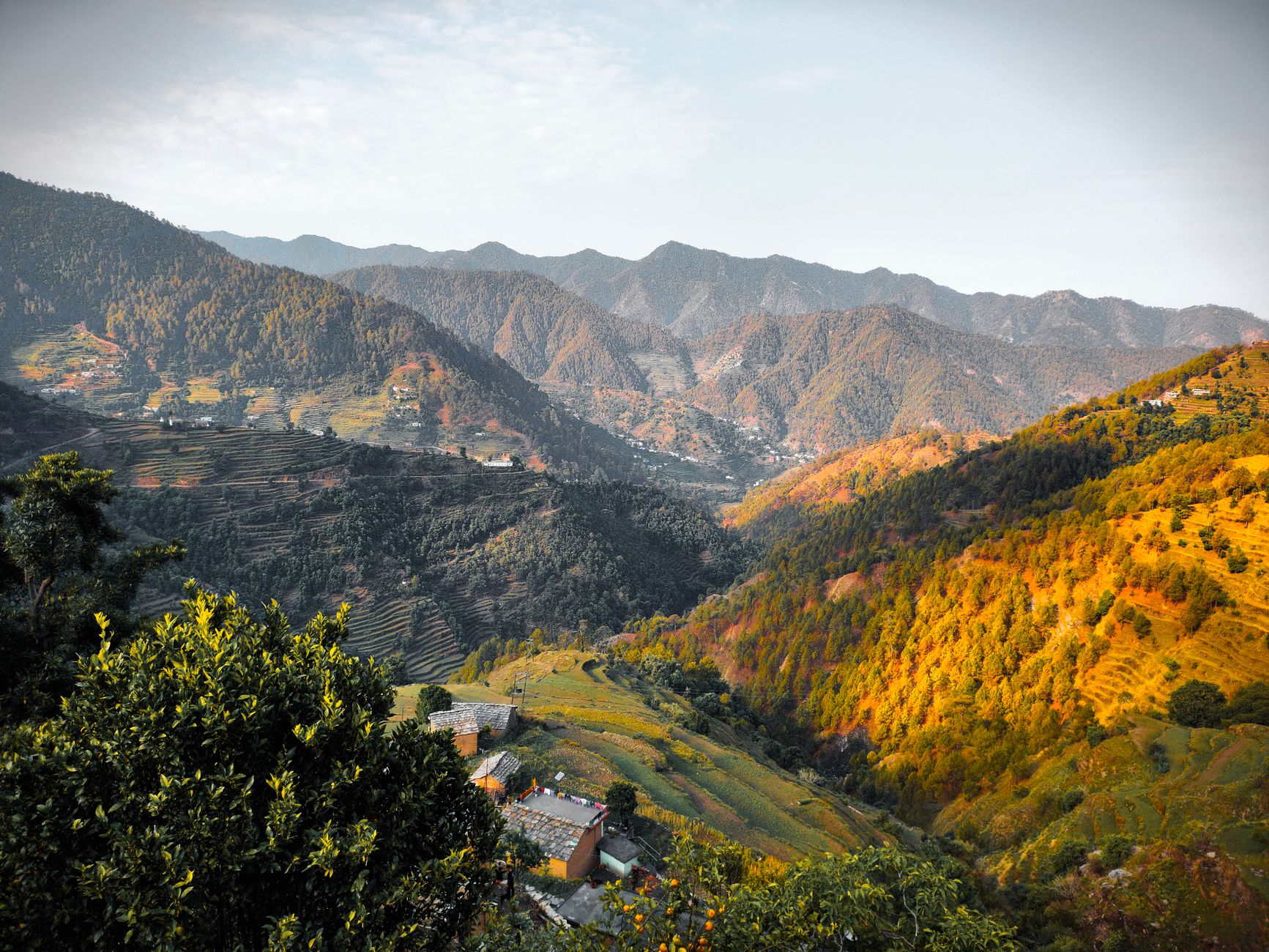 Celebrate Amid Dharamshala's Himalayan Wilderness