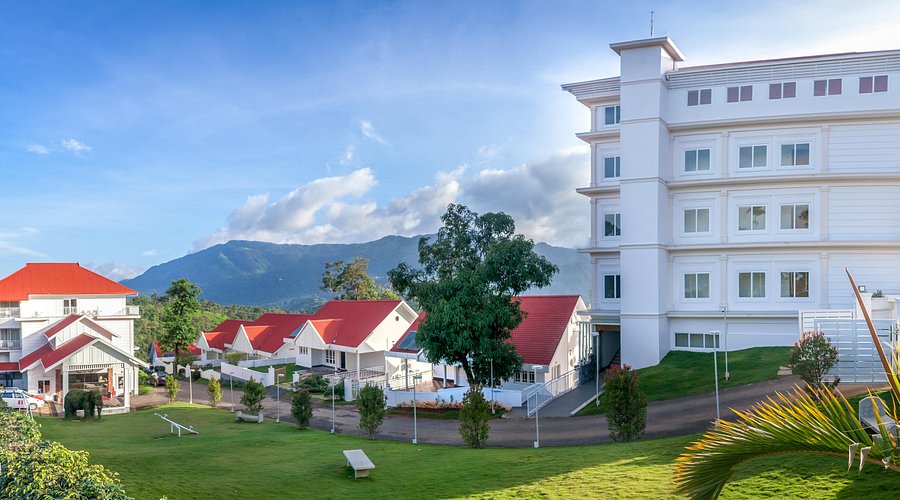 The Fog Munnar for Dream Mountain Celebrations: Complete Guide