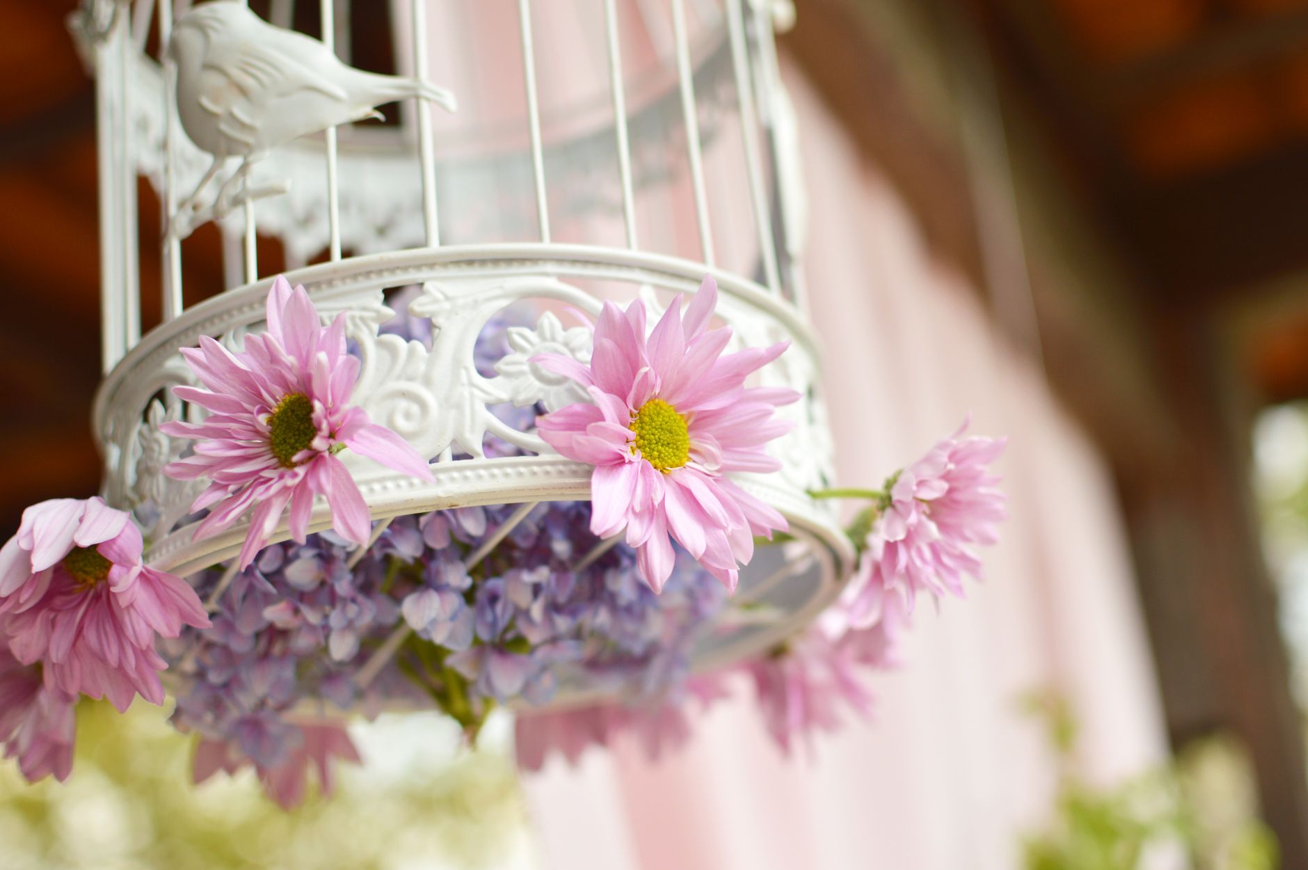 Bloom-Perfect Decor in Gangtok