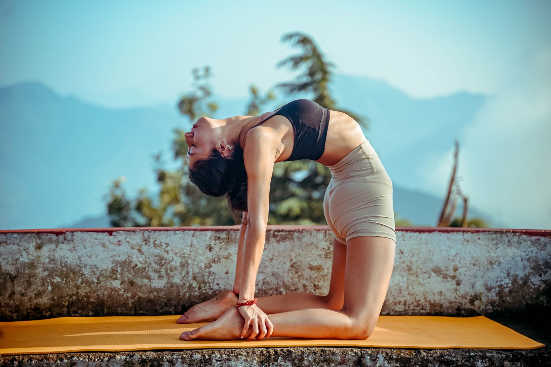 Himalayan Yoga for Your Event