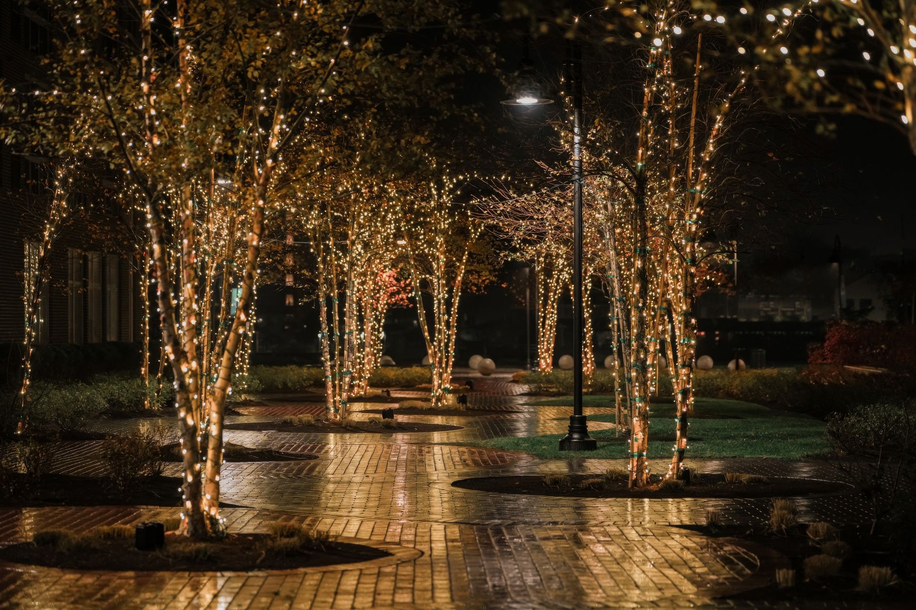 Walkway Lighting Setup