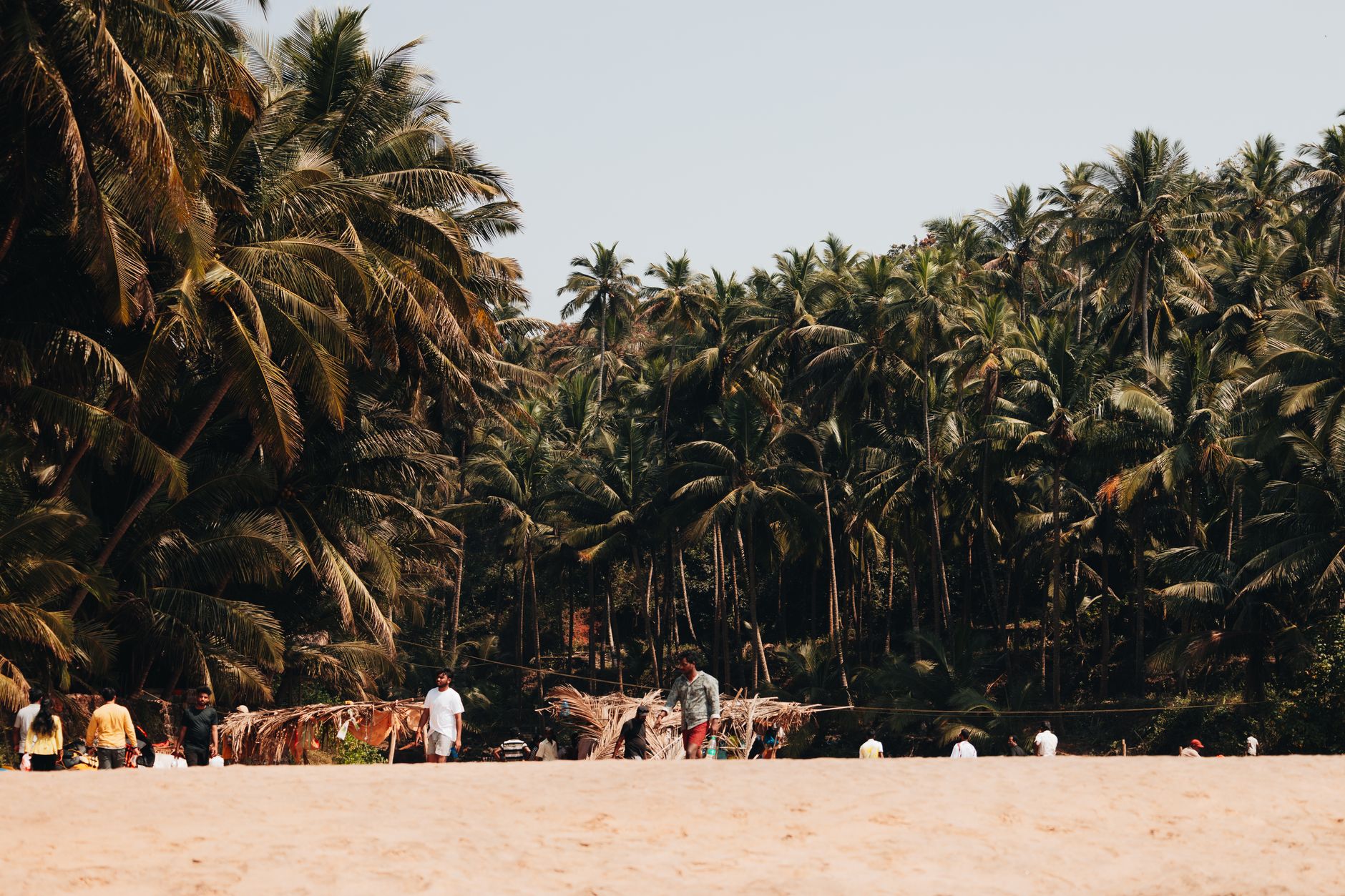 Dance Into Your Dream Goa Wedding