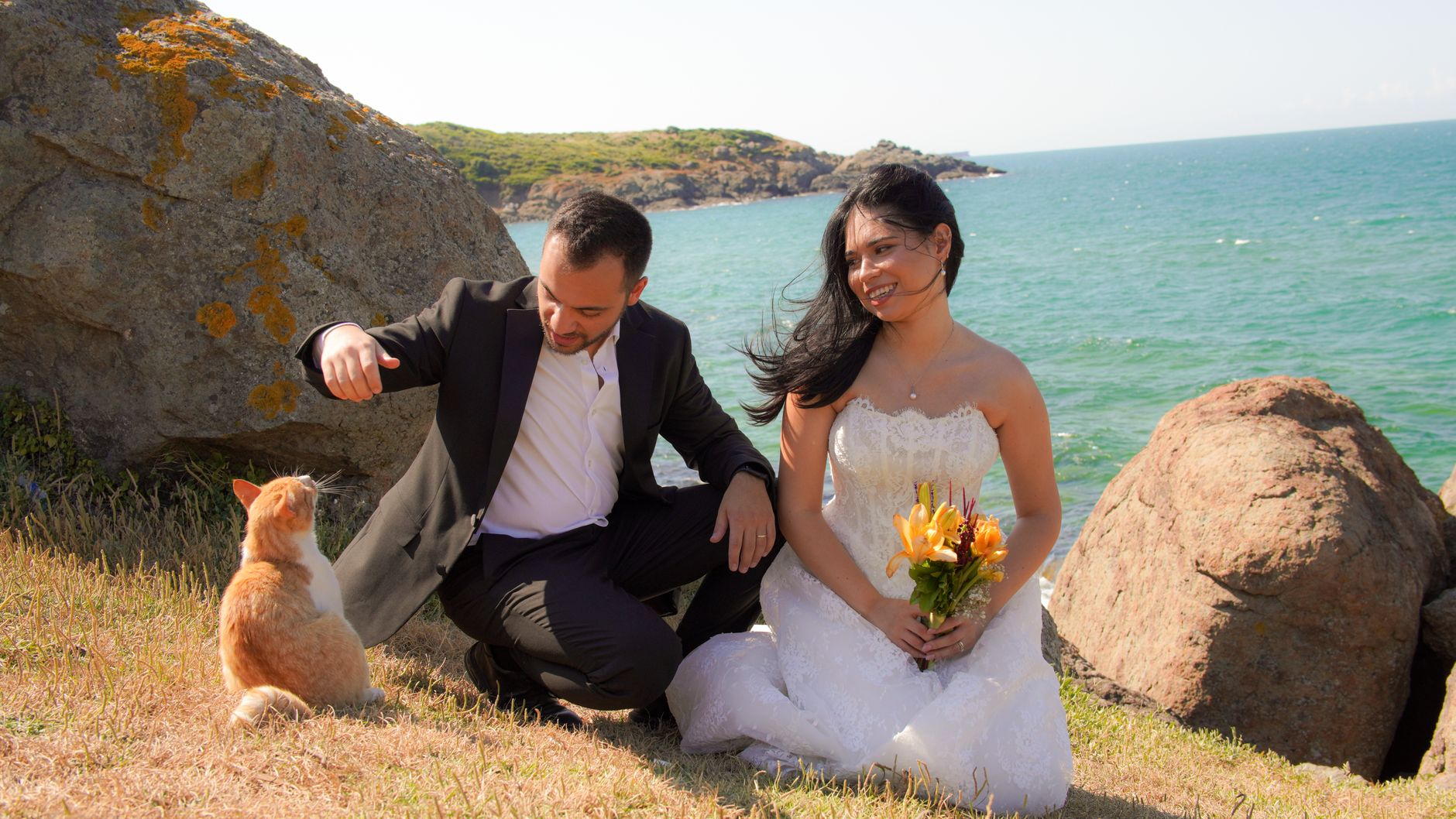 Pet Care at Your Goa Wedding