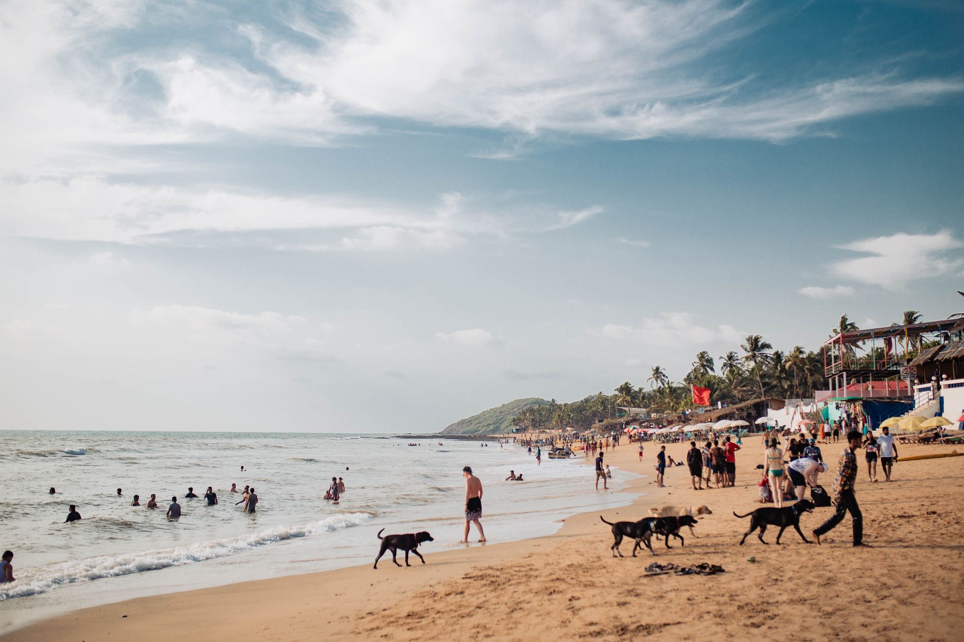 Goa Event Runners: Zero Chaos, Pure Joy