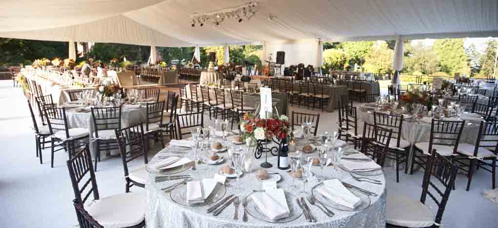 Complete Wedding Infrastructure Solutions