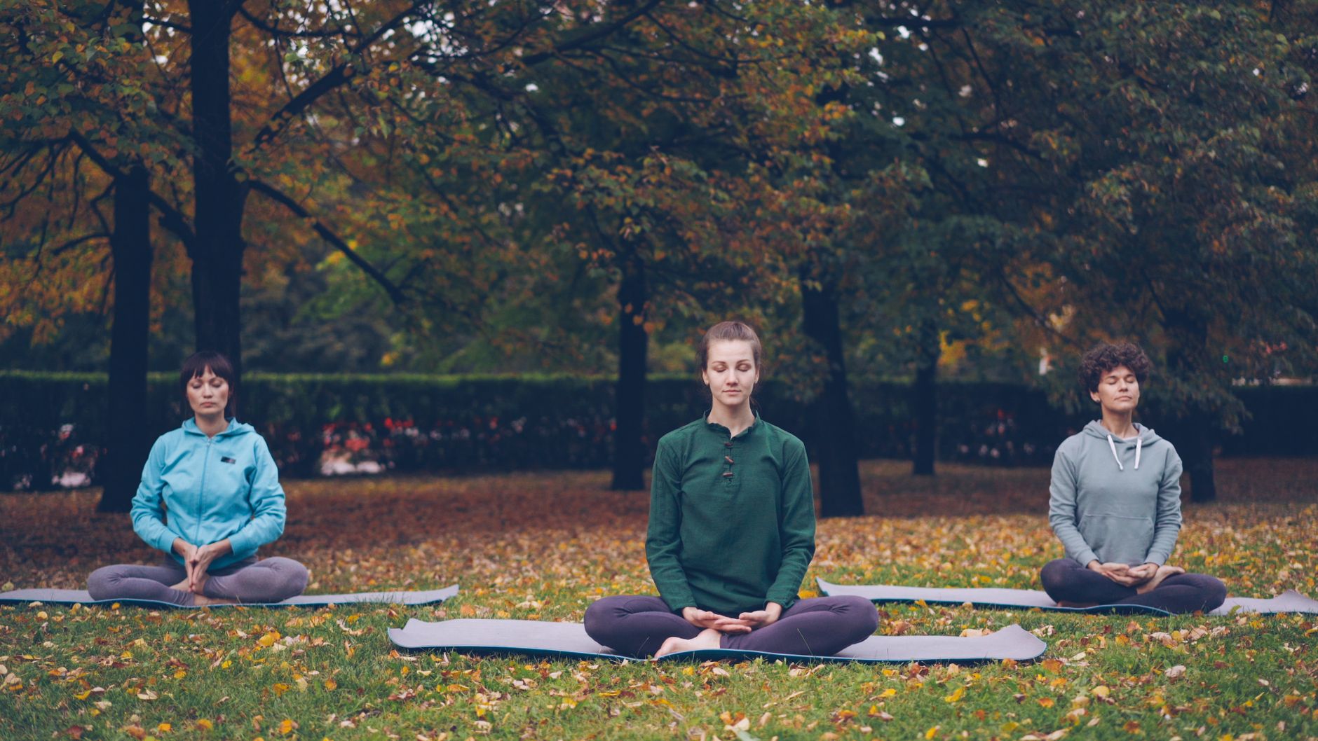 Curated Meditation Programme