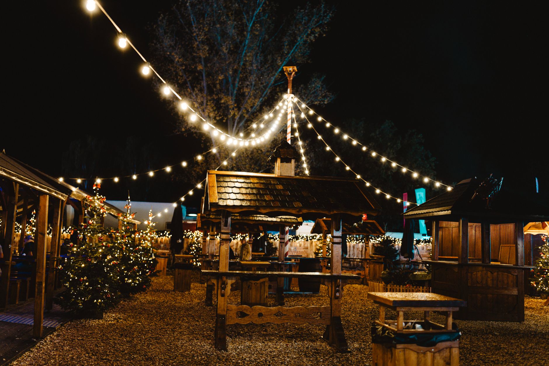 Social Celebration Lighting
