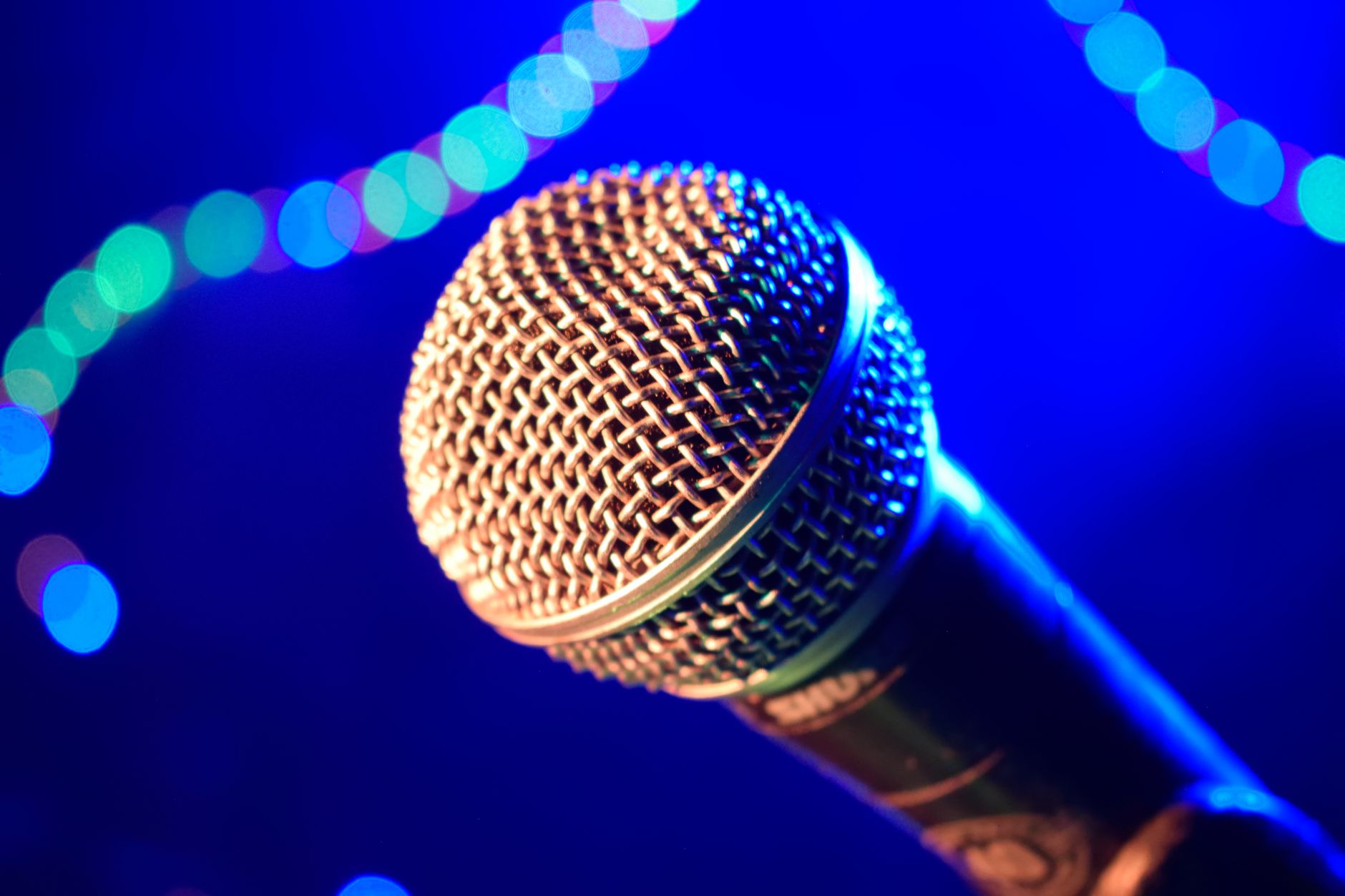 Live Karaoke Fun for Every Celebration