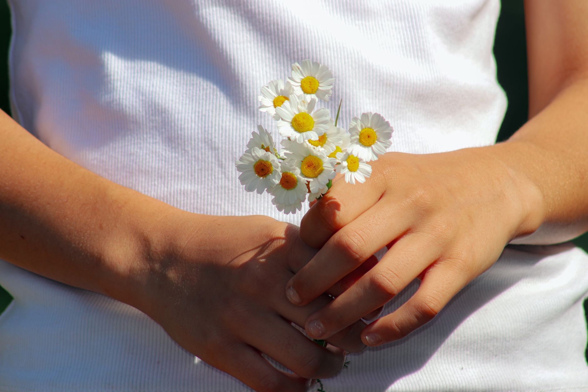 Wildflower Bouquets for Every Occasion