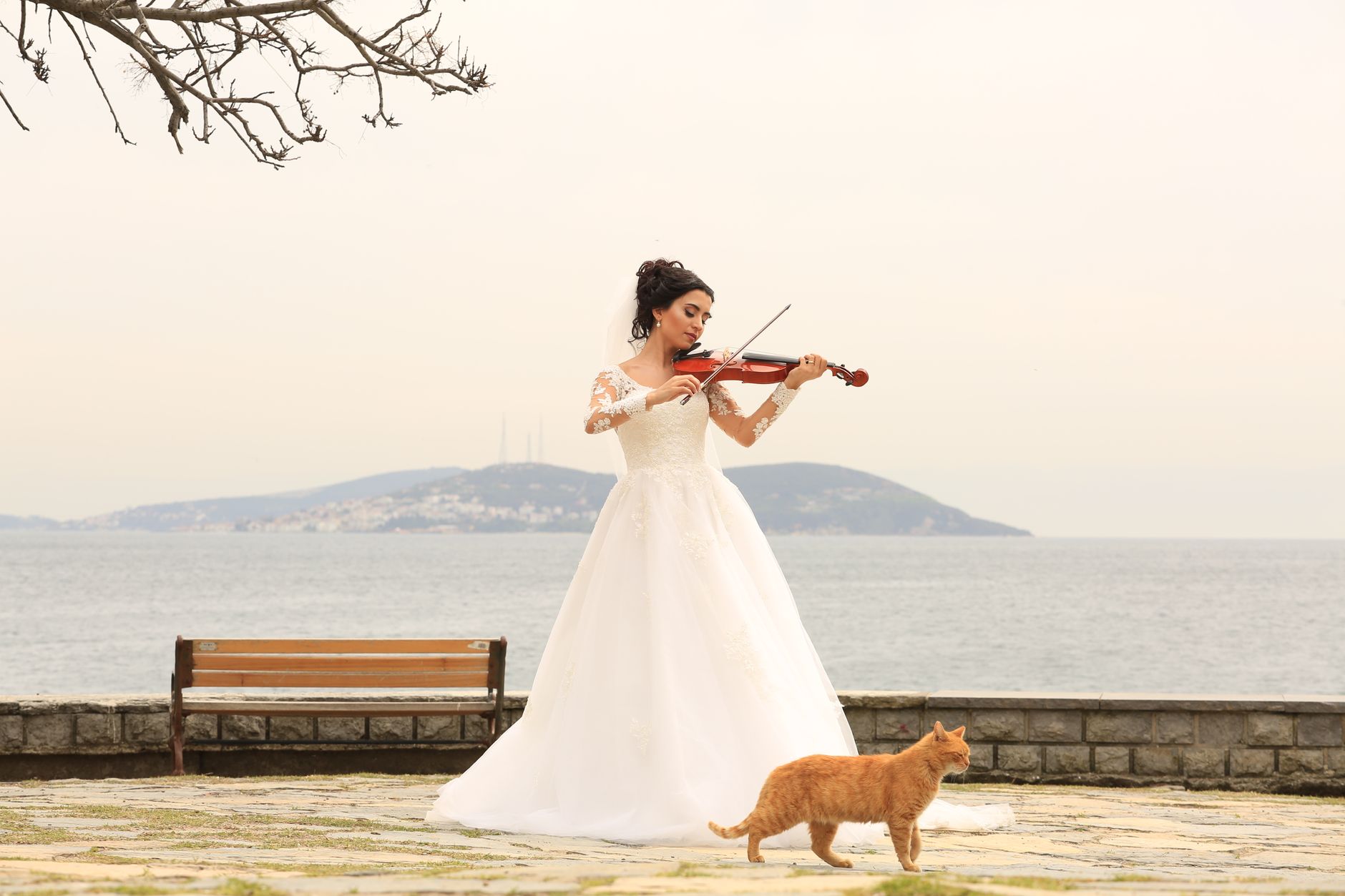 Sacred Sounds on Havelock Shores