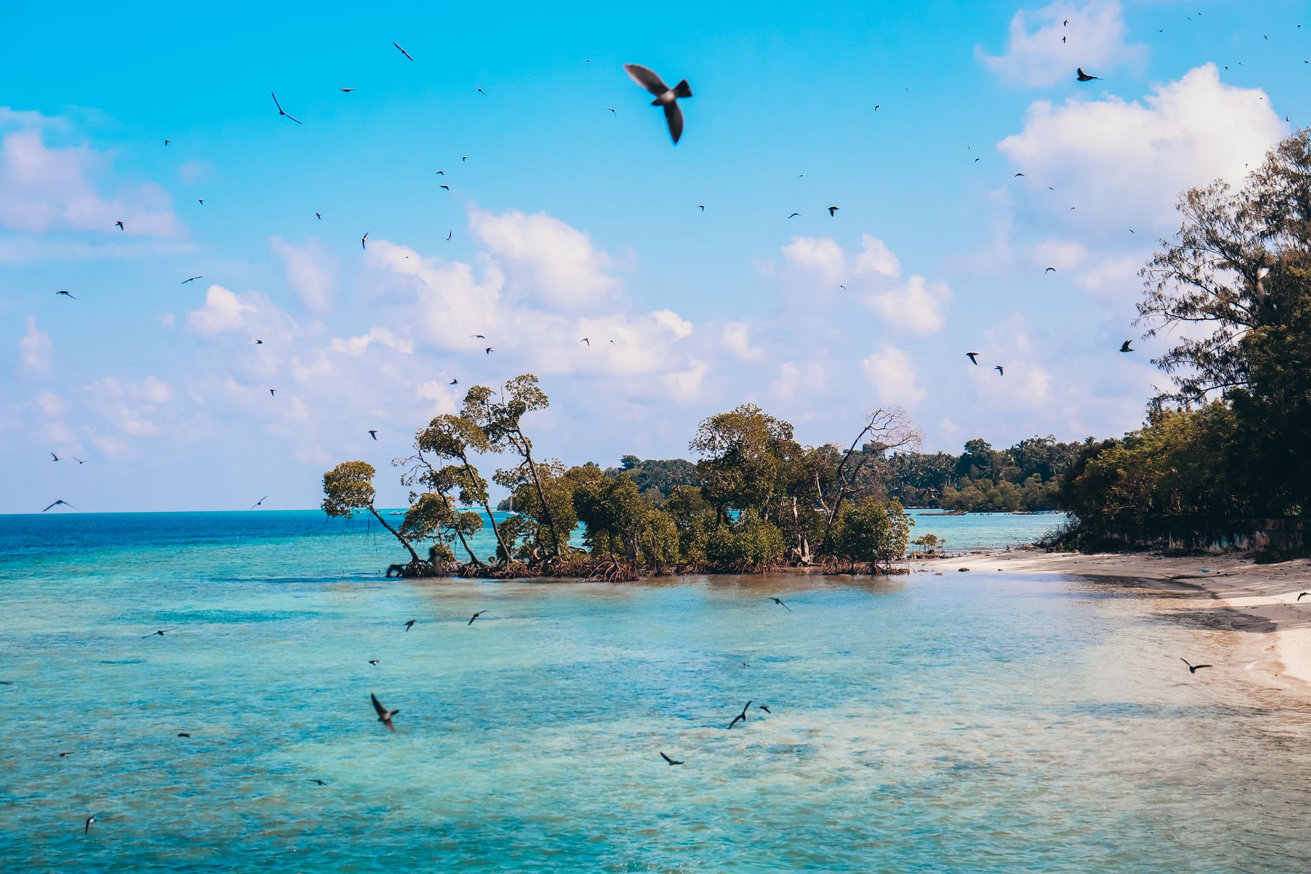 Exhibition Grounds on Havelock Island
