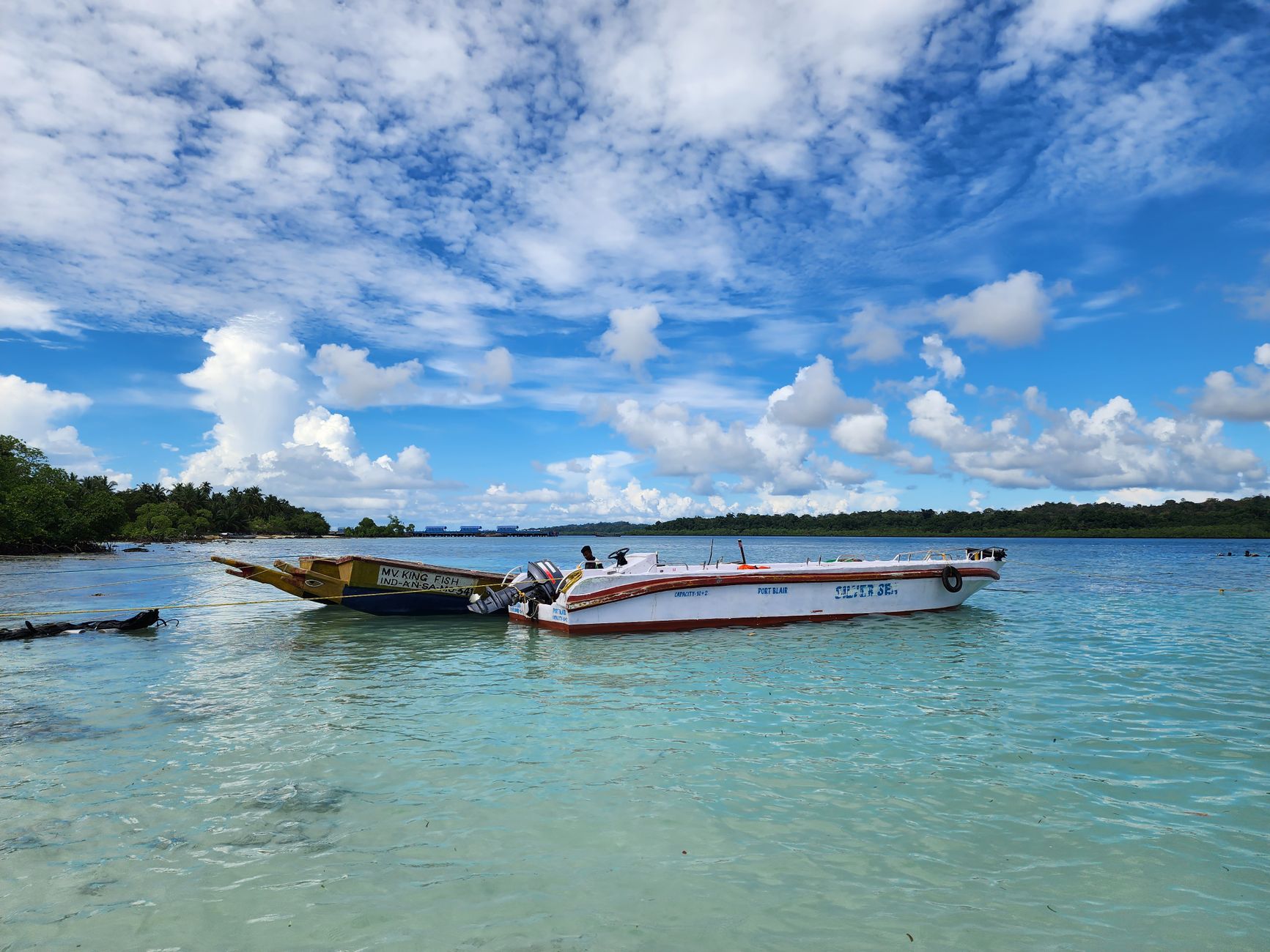 Smart RSVPs for Your Island Wedding