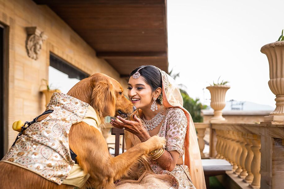 Adorable golden retriever wearing floral collar walking down wedding aisle with bride and groom