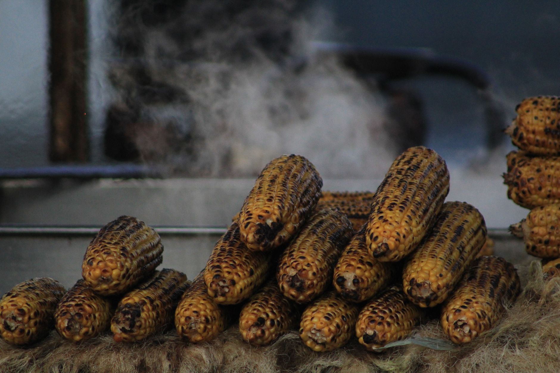 Fresh Corn Snack Bar