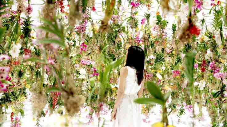 Goa's Most Breathtaking Floral Experiences