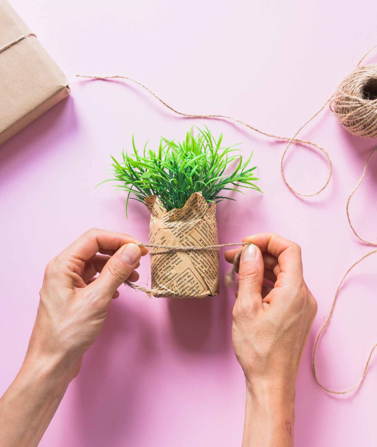 Plant Gifts