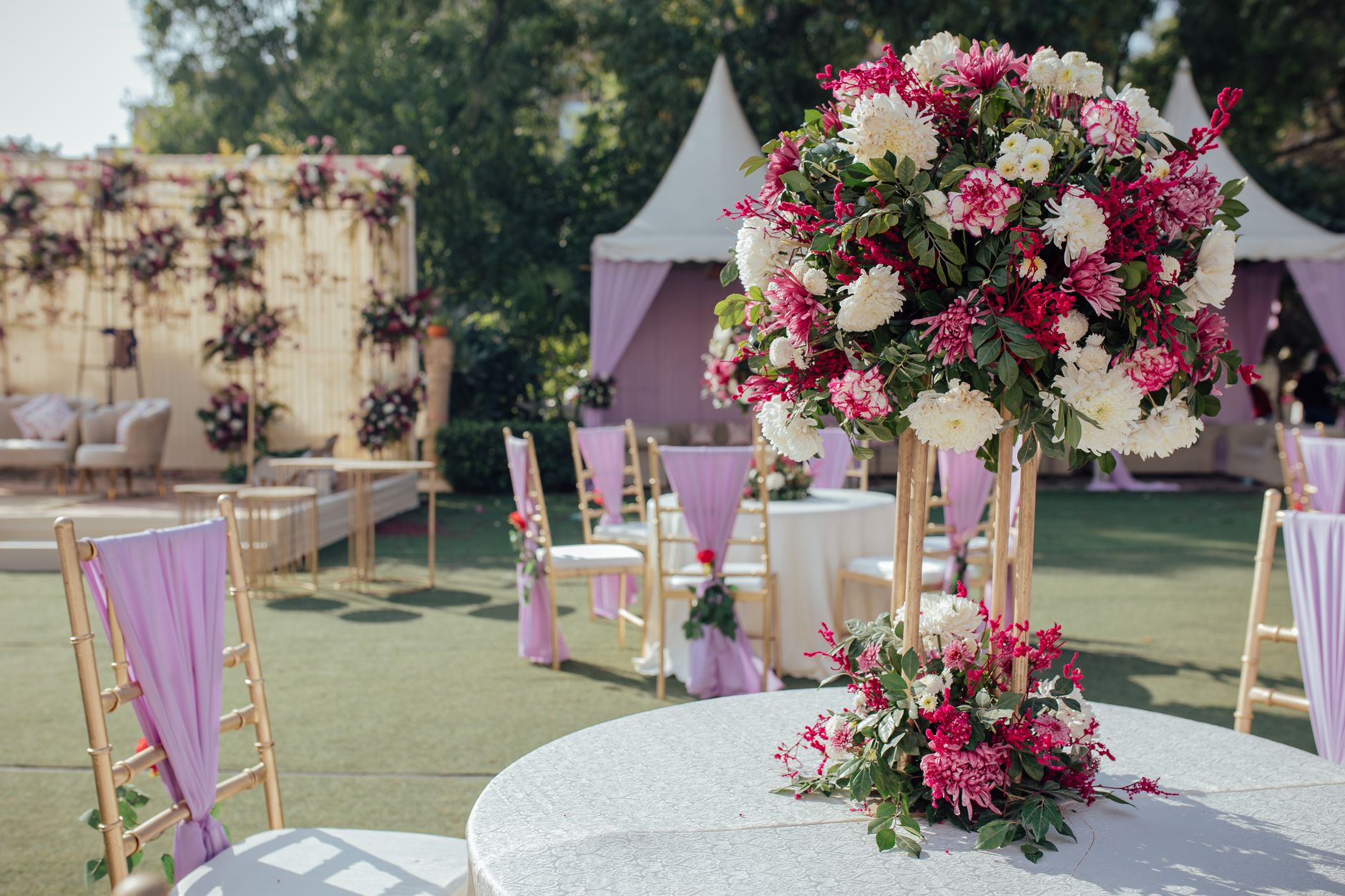 Bamboo Frame Chairs for Indore Events