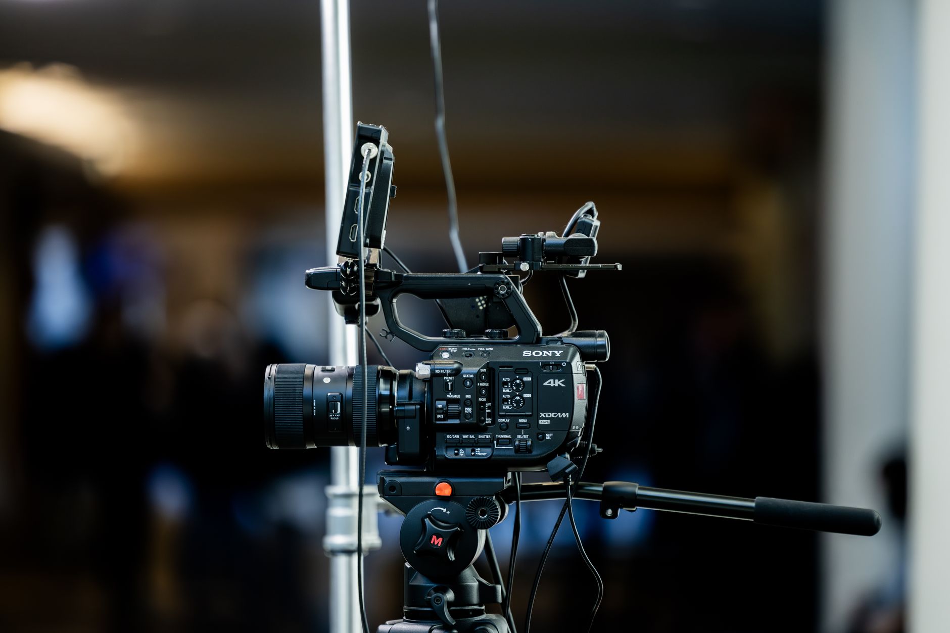 Turn Raw Footage Into a Timeless Film