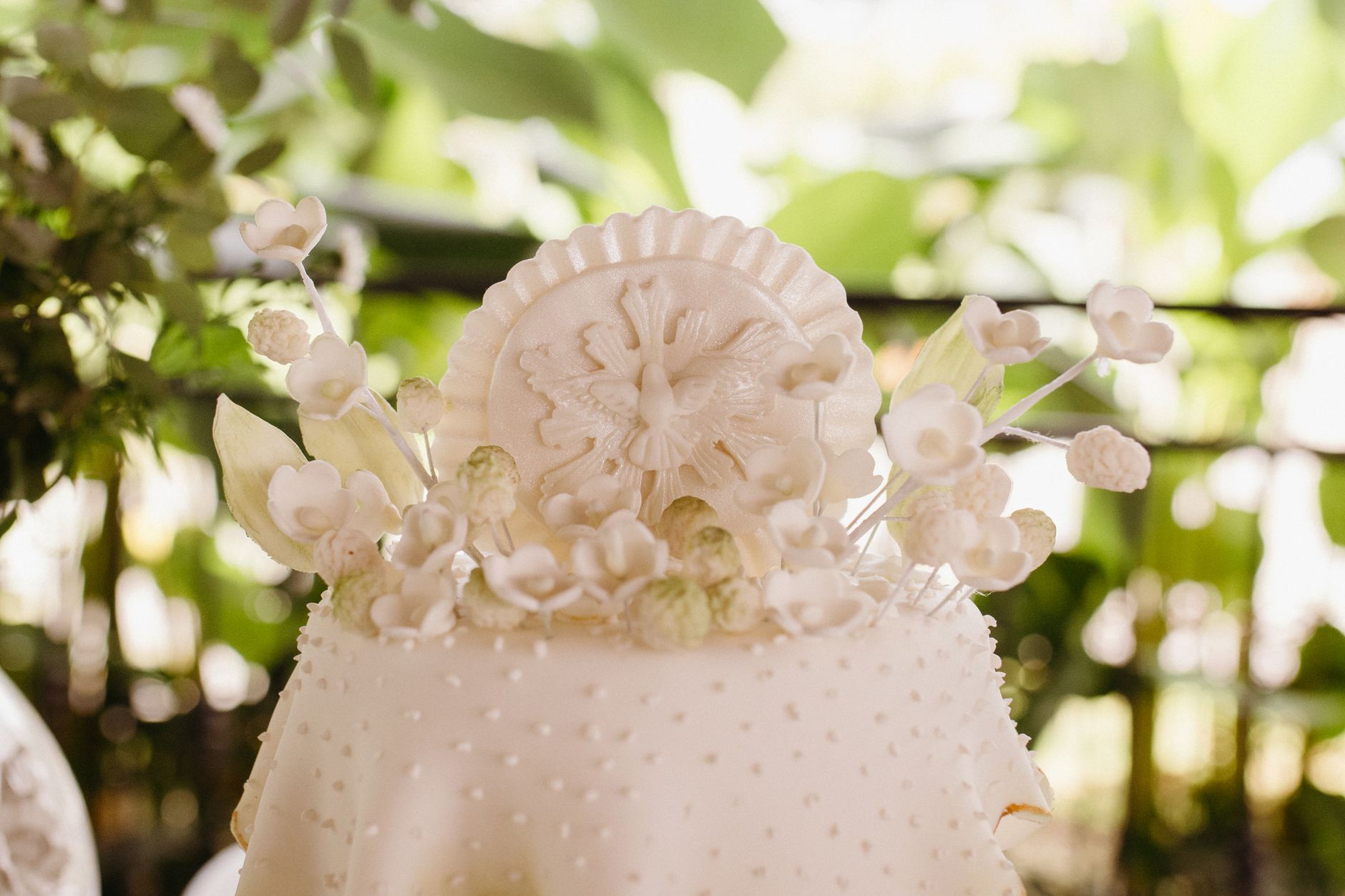 Indore's Finest Custom Cake Creations