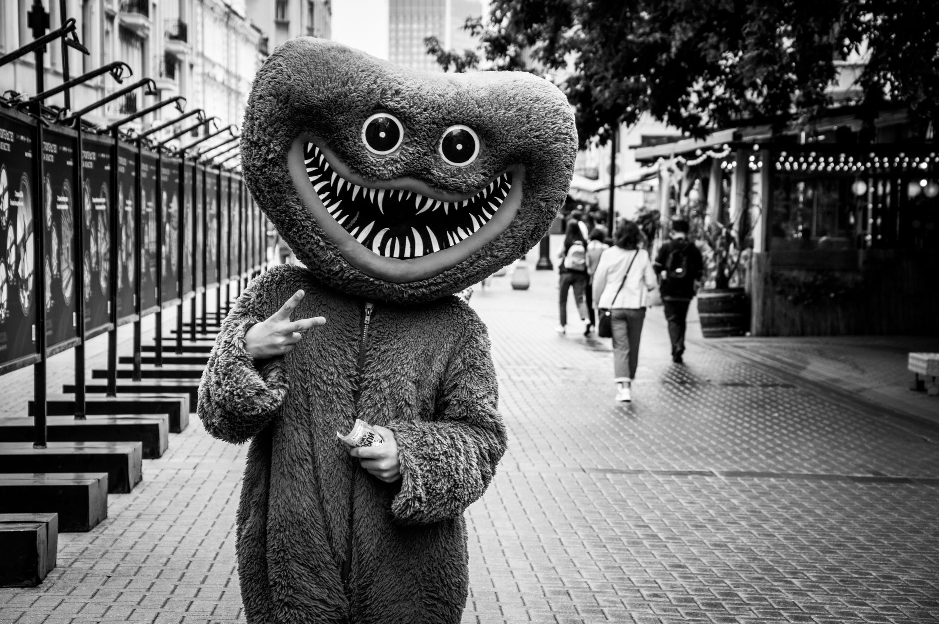 Fantasy Mascot Walkabouts