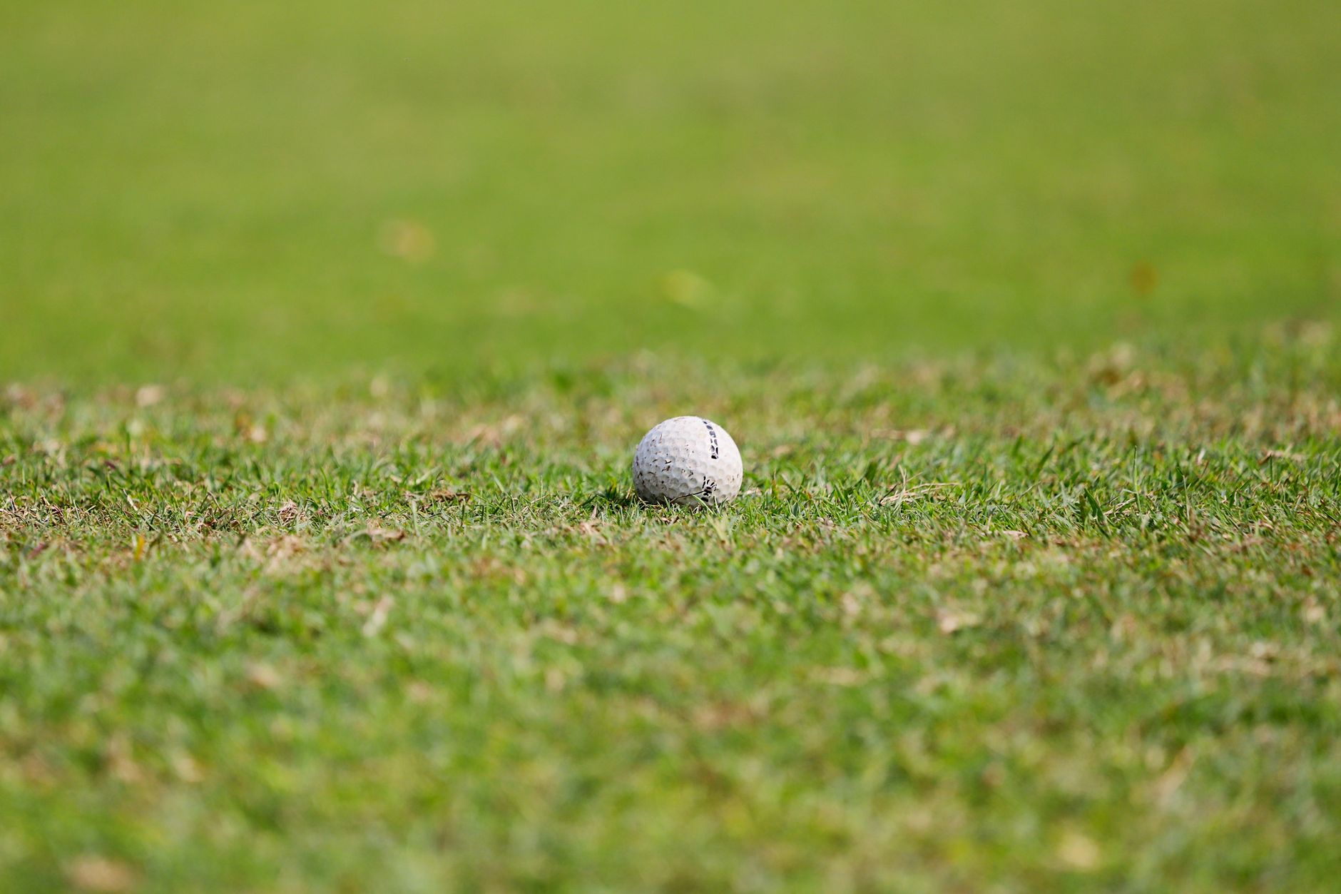 Elegant Golf Club Events in Indore