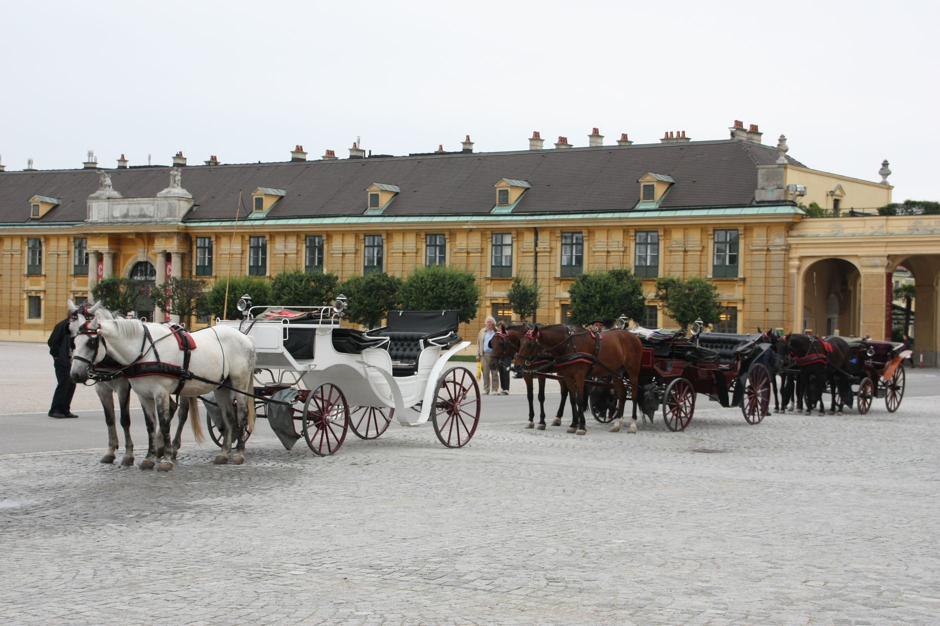 Royal Groom Procession Carriages in Indore