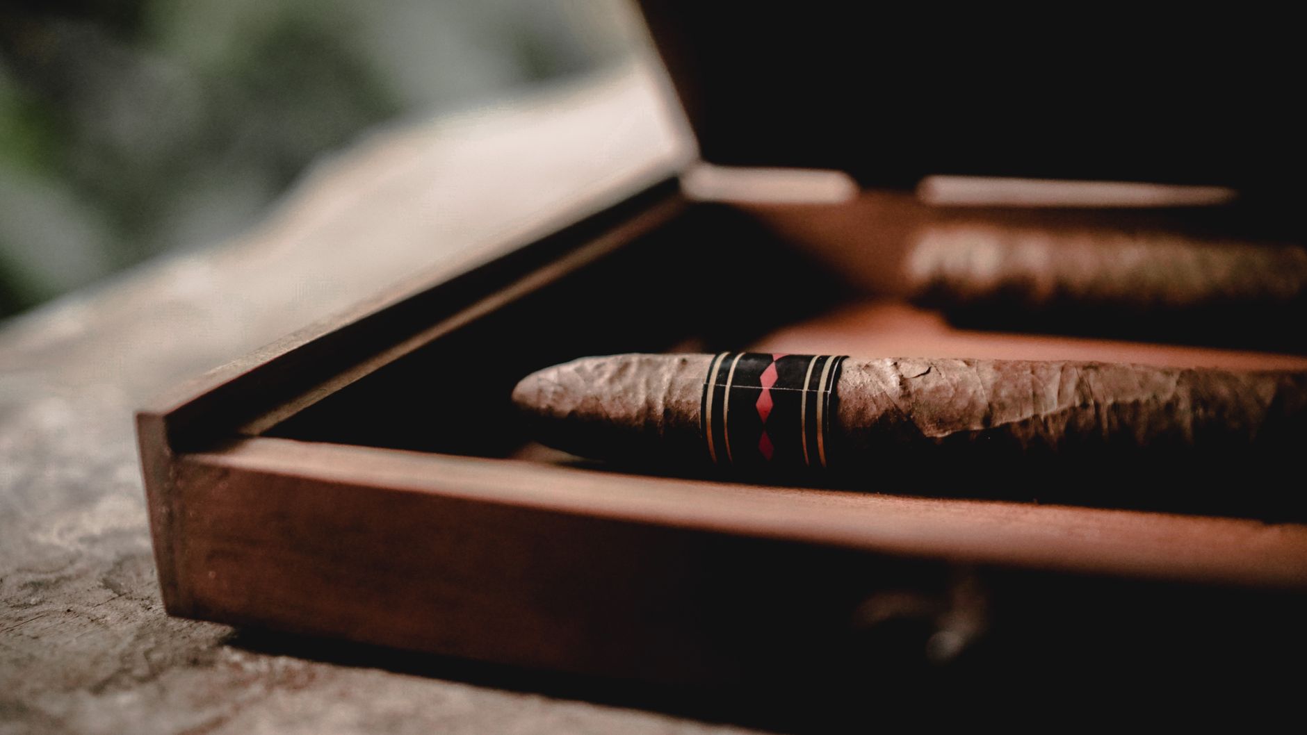 Live Cigar Rolling for Indore Events
