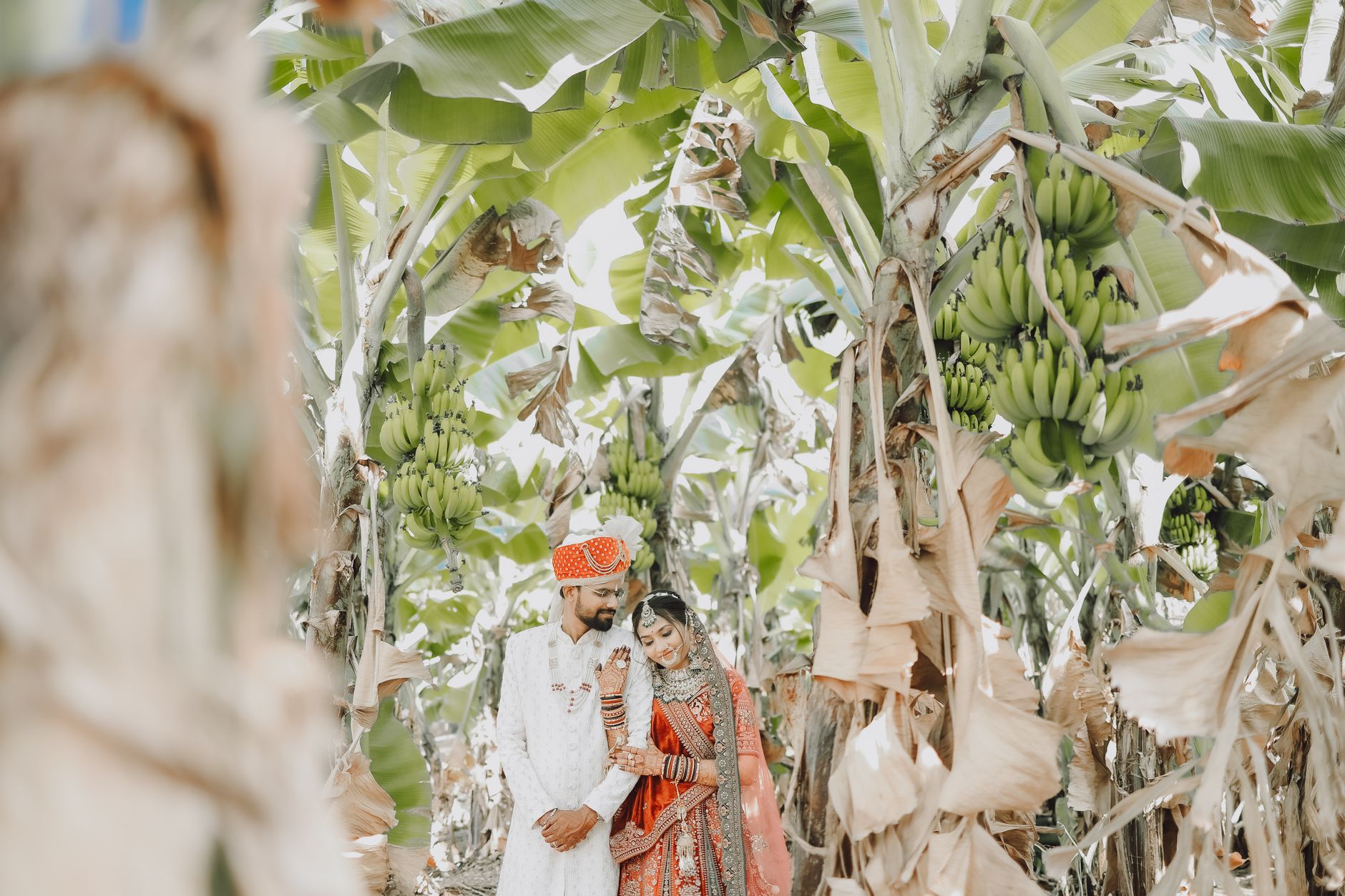 Celebrate Big at Indore's Finest Resorts