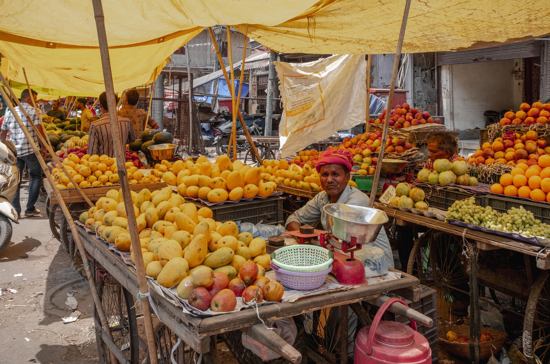 Jaipur's Favourite Chaat Pavilion
