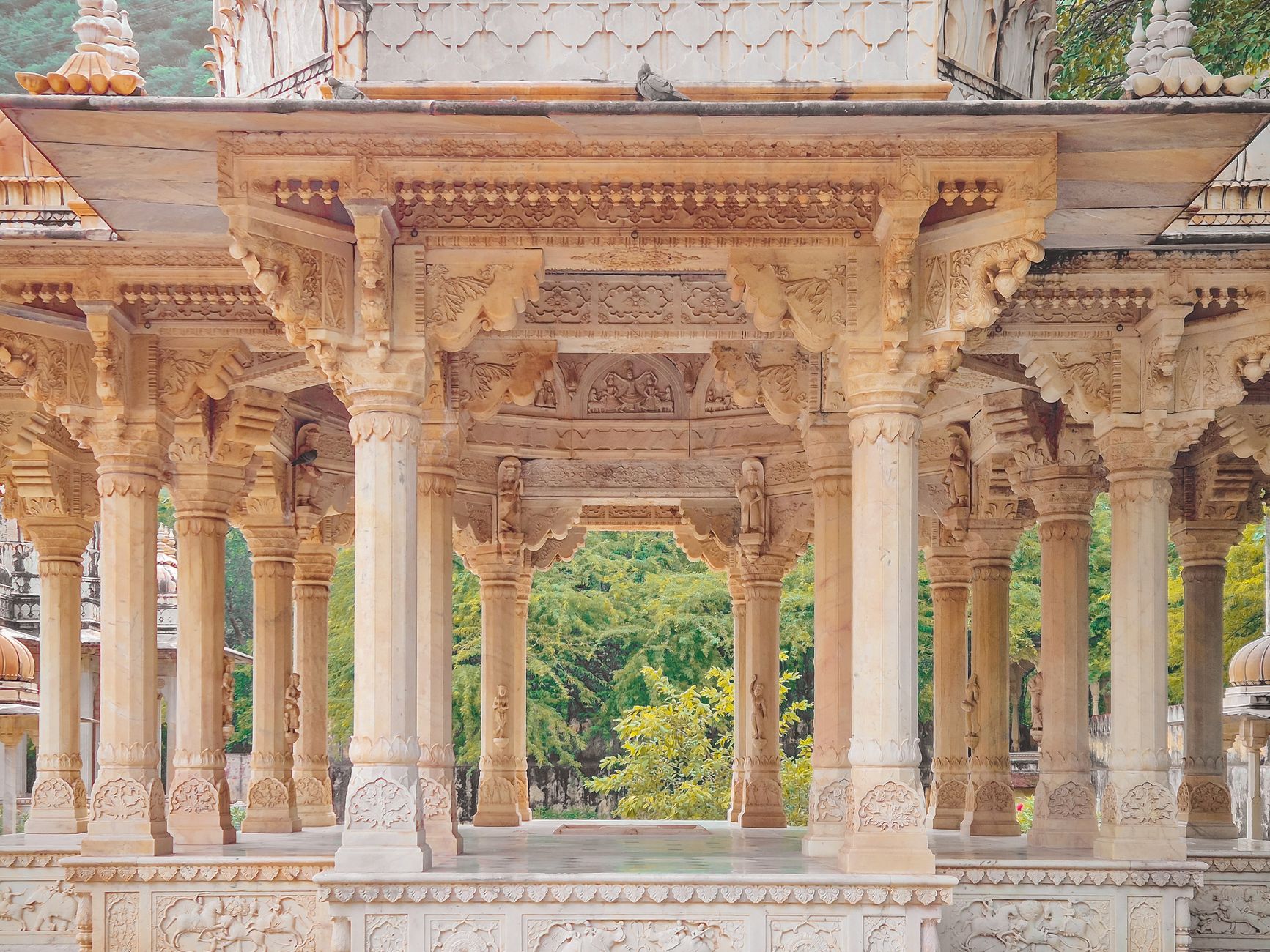Royal Godi Arrivals in Jaipur