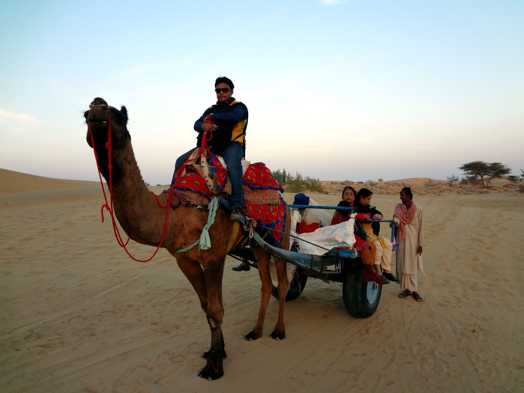 Royal Caravan Journeys Across Jaipur