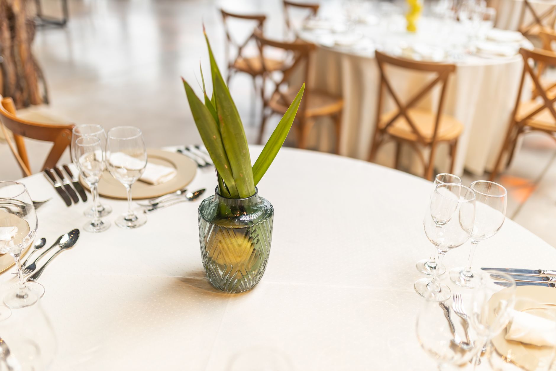 Modern Vegan Culinary Services