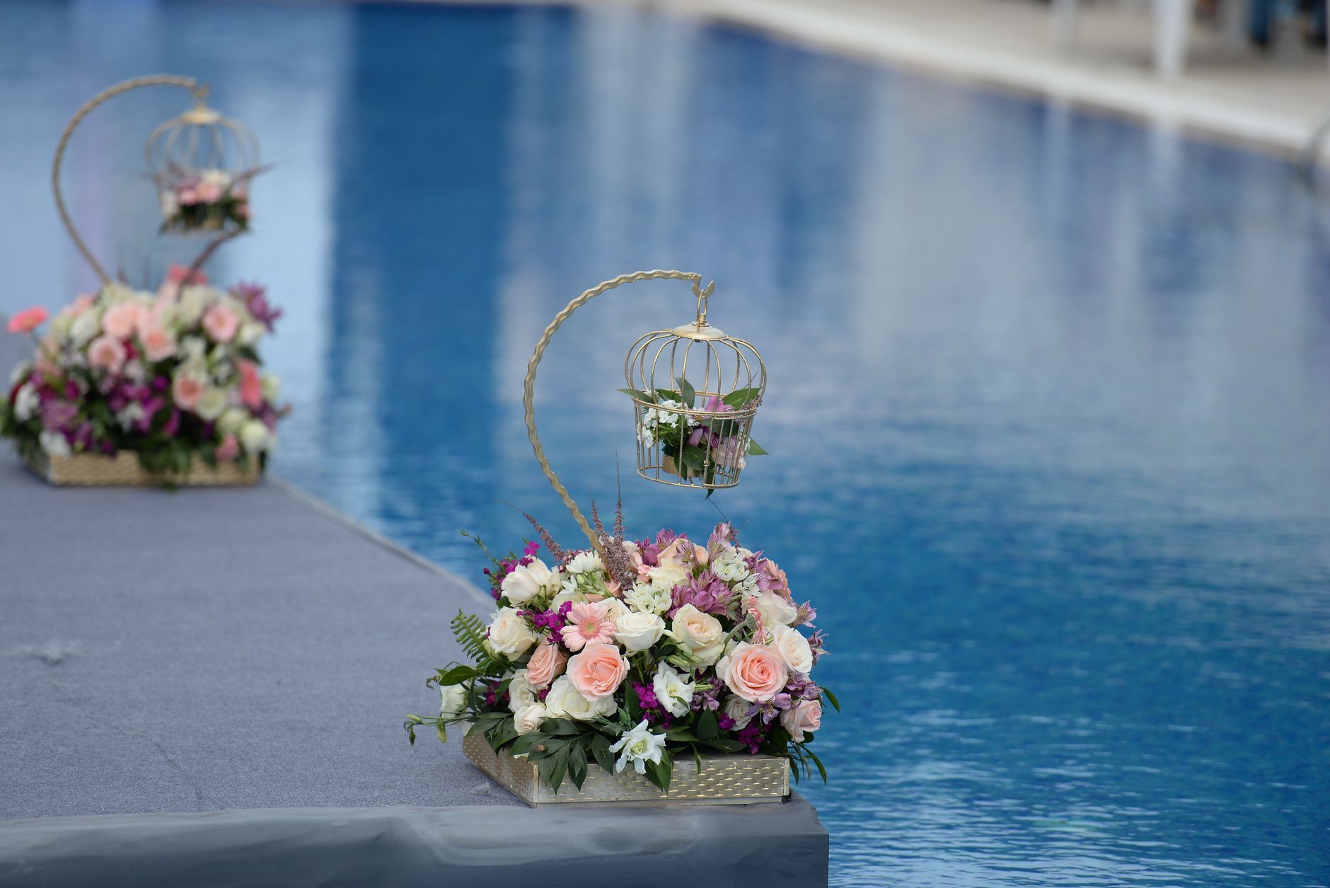 Nature Inspired Event Decor, Jaipur