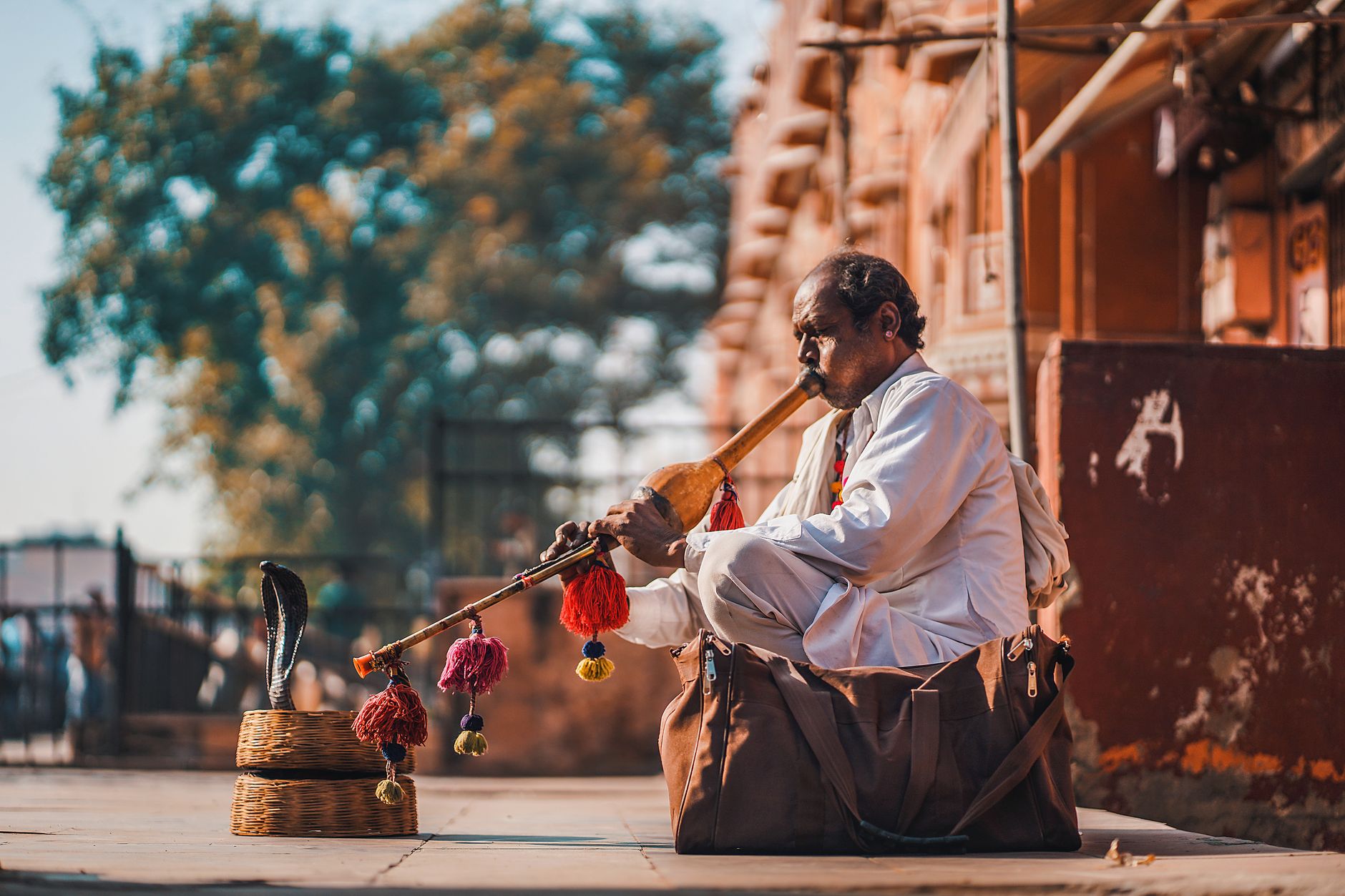 Music Legally Sorted for Your Jaipur Event