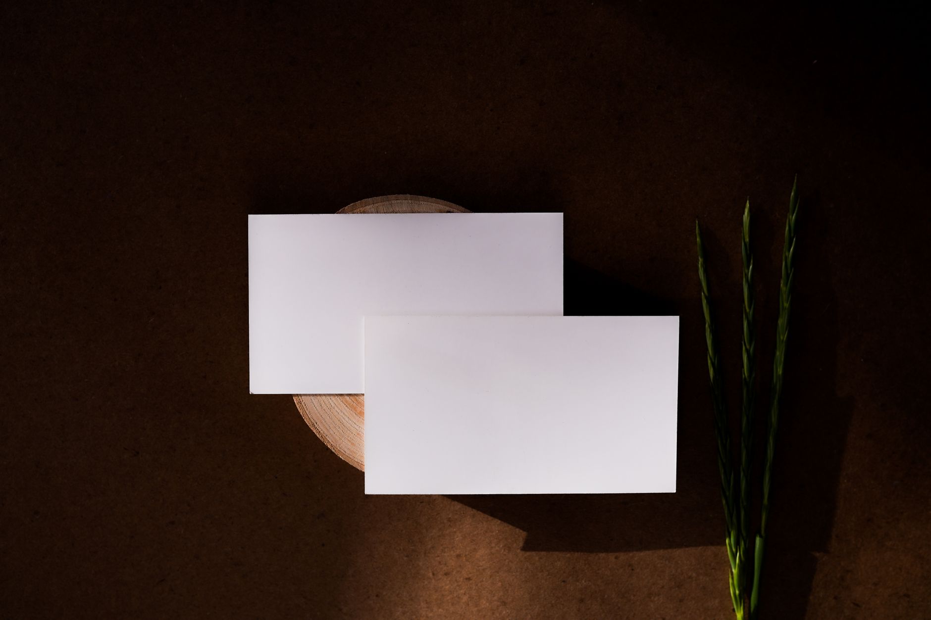 Product Launch Invite Cards