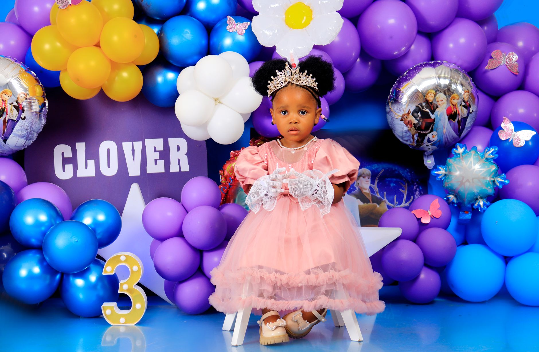 Magical Princess Invitations for Jodhpur