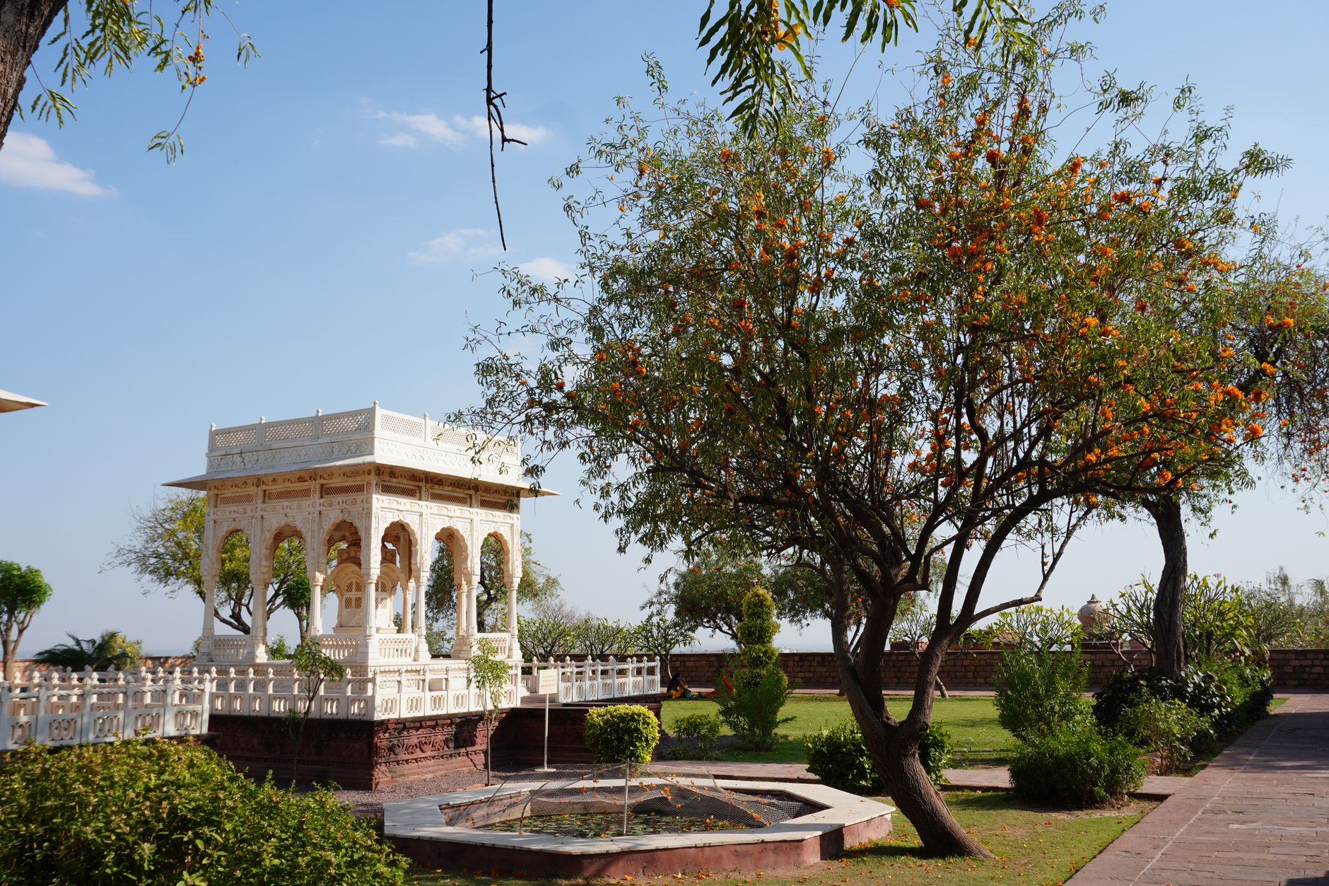 Royal Farmhouse Weddings in Jodhpur
