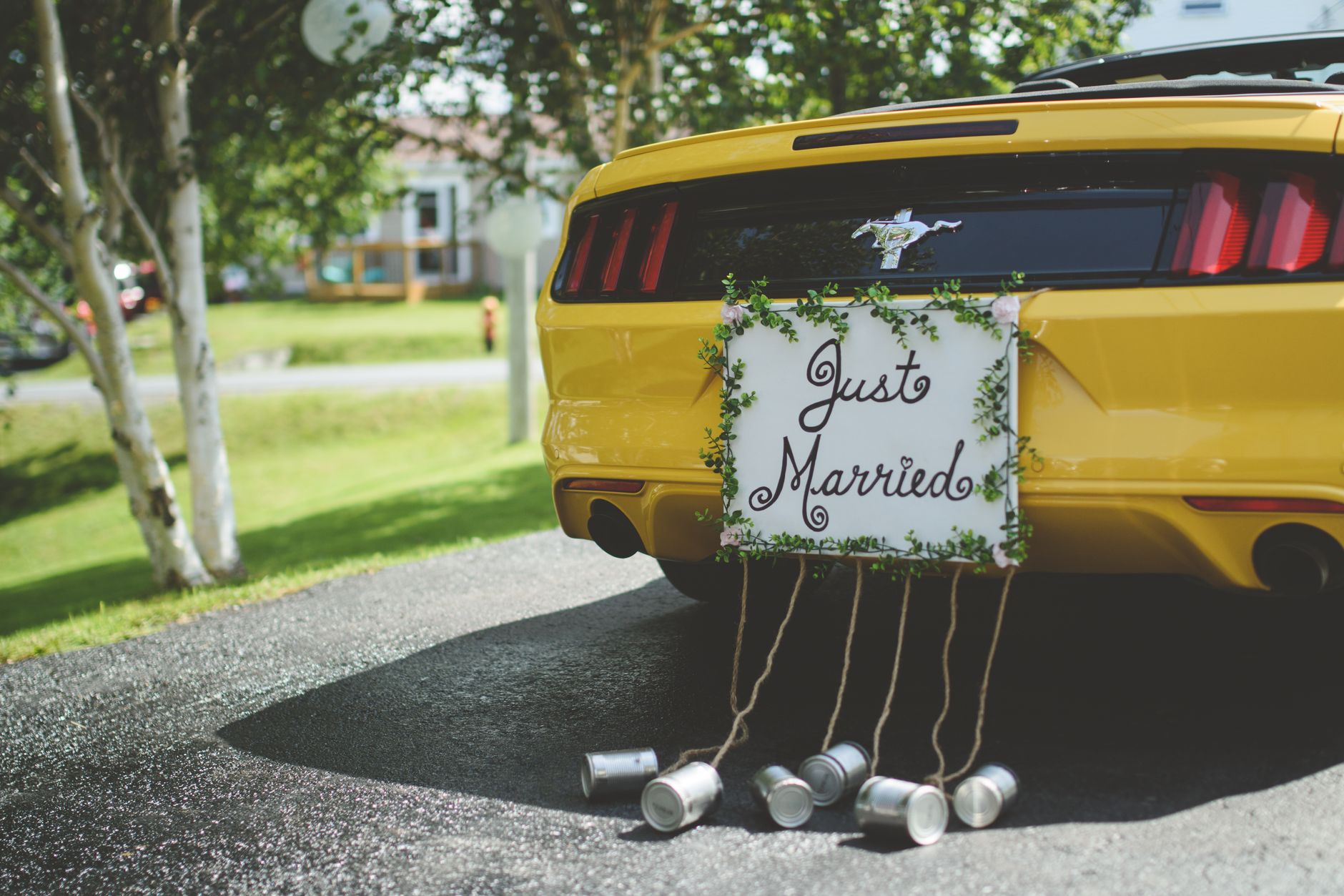 Royal Baraat Entries in Kasauli Hills