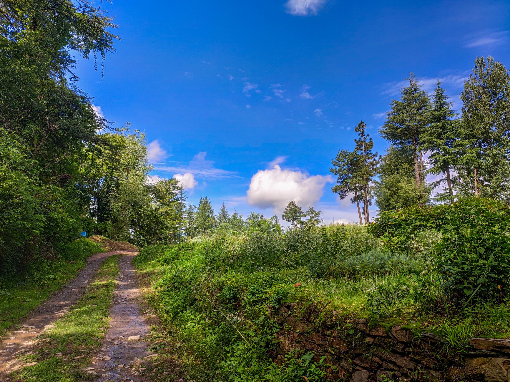 Kasauli Farm Function Spaces