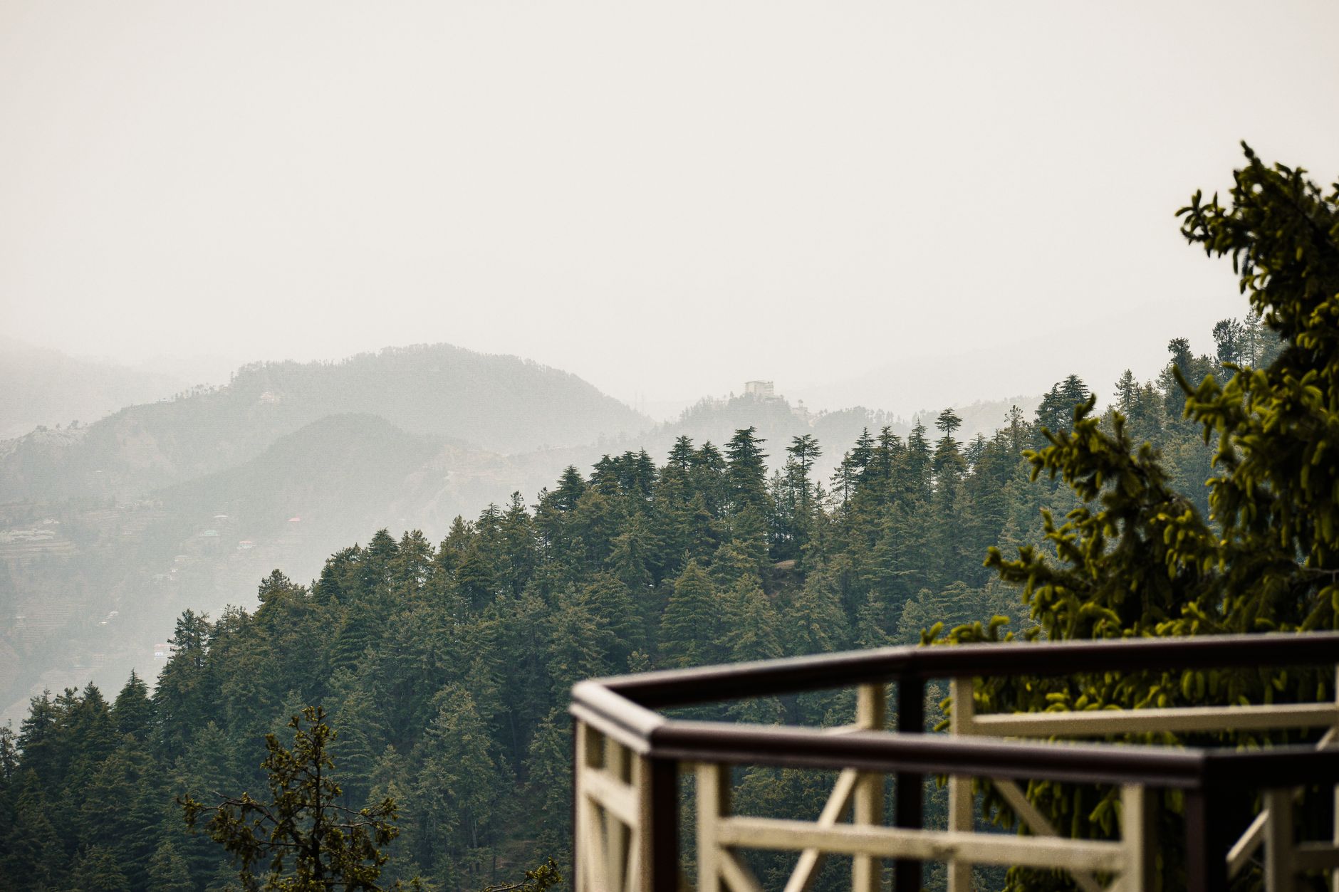 Bring Kerala's Soul to Kasauli