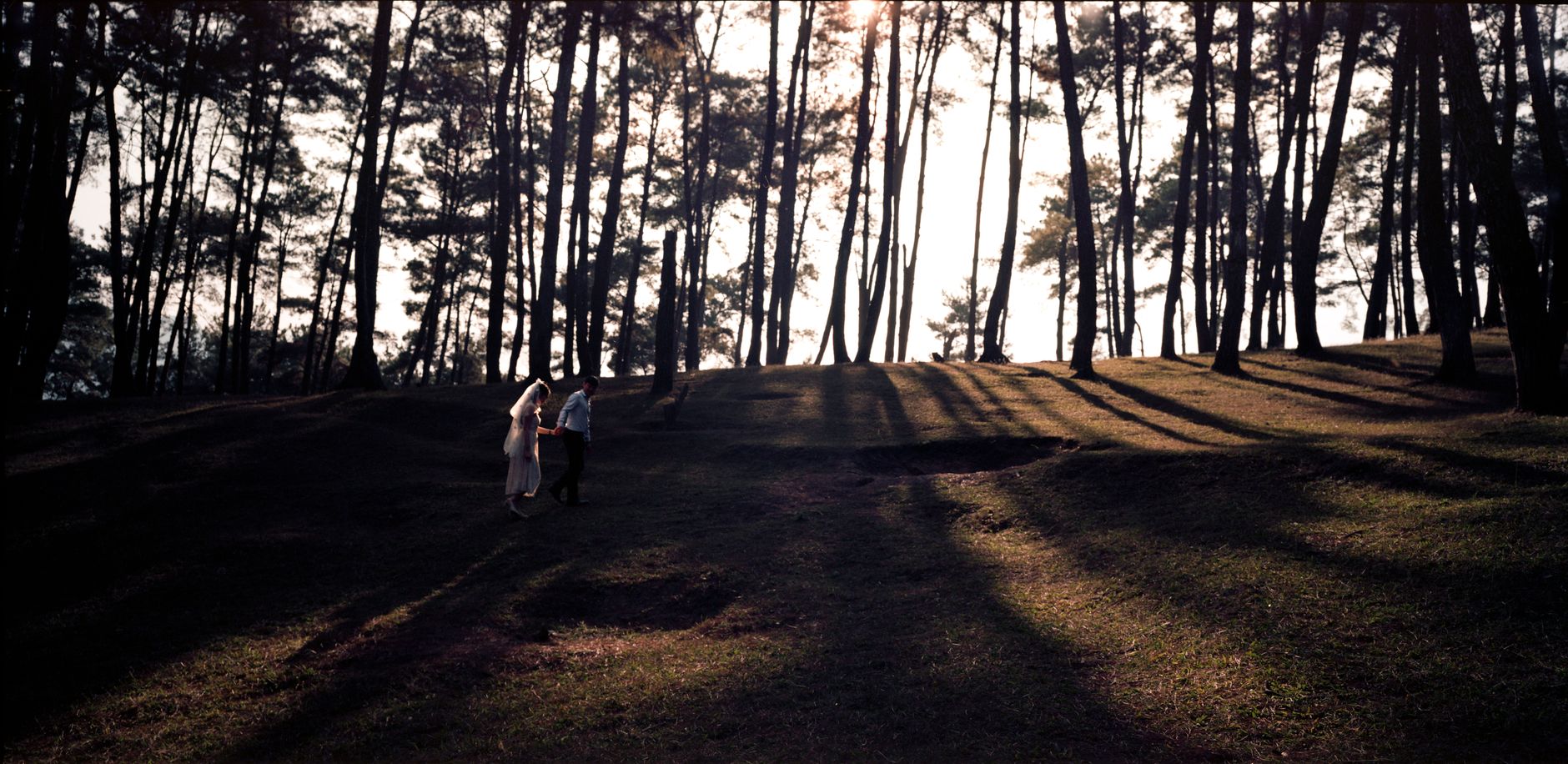 Kasauli's Most Breathtaking Wedding Shots