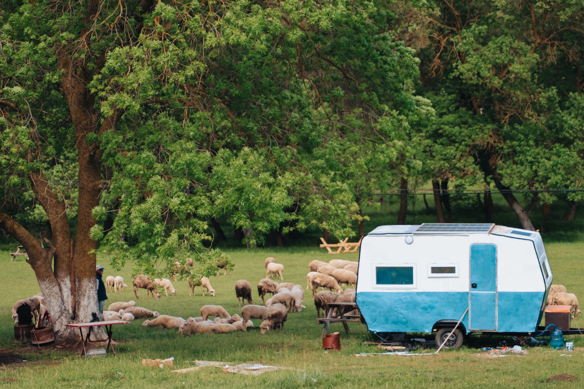 Dreamy Caravan Setups in Kasauli