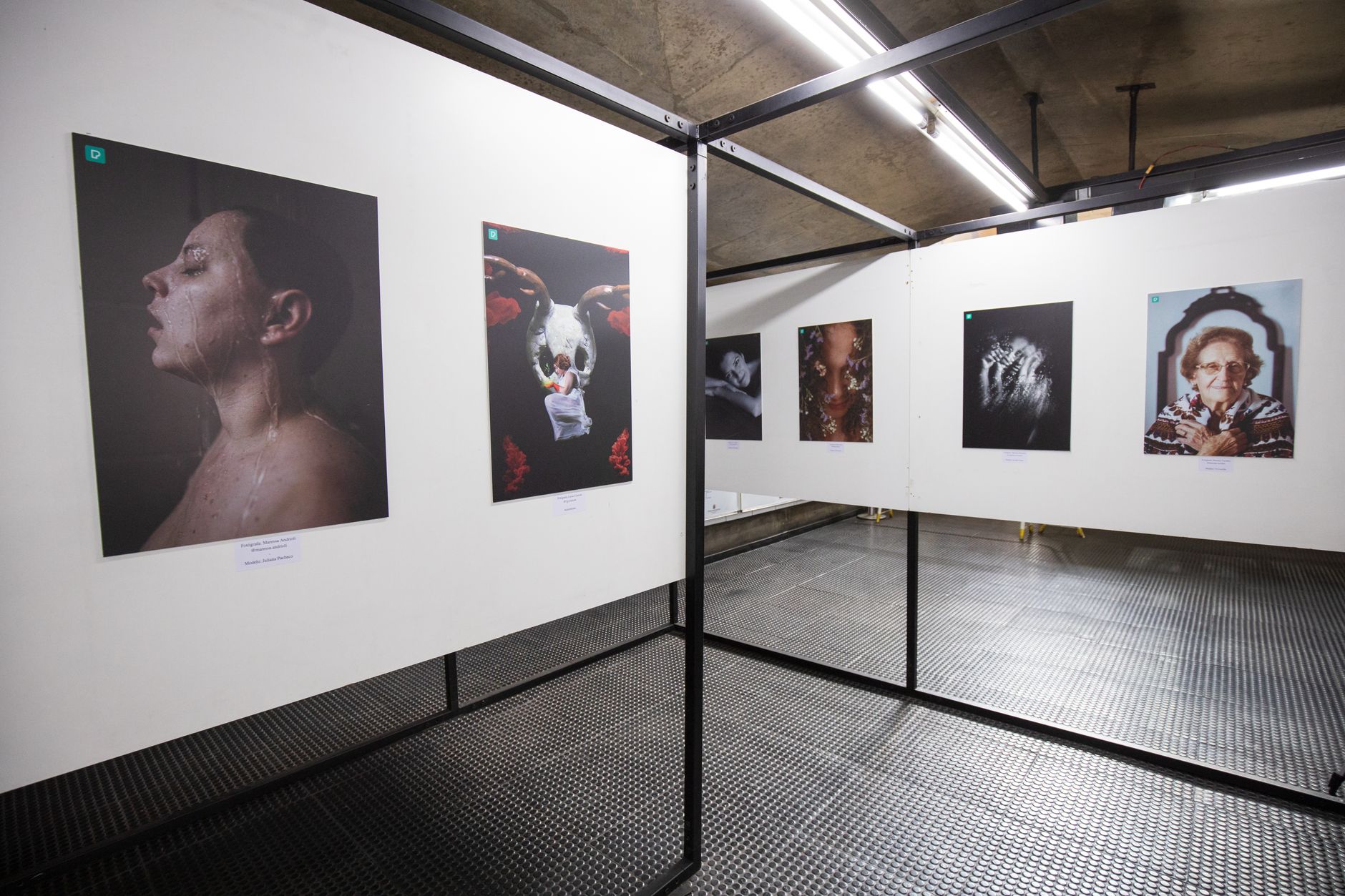 Exhibition Graphics Printing