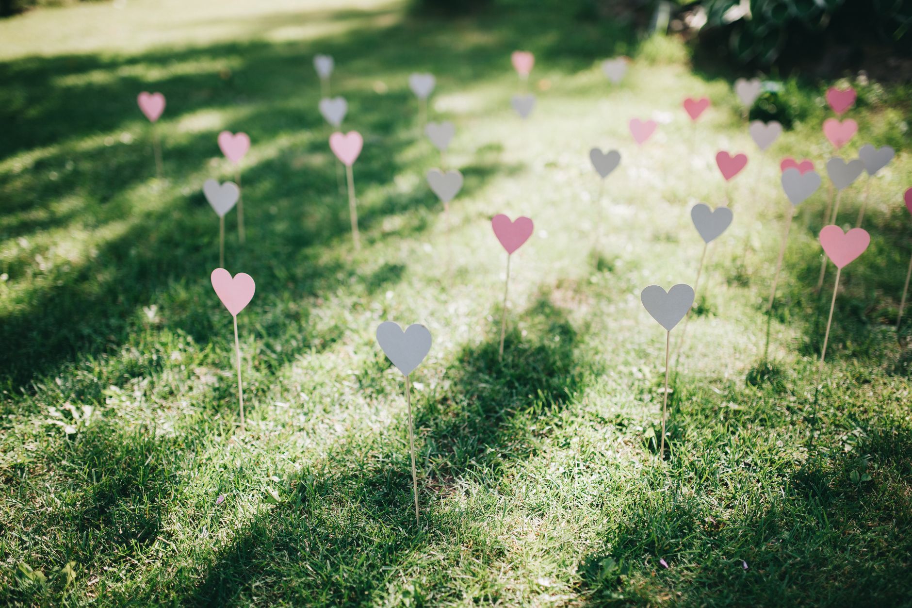 Photogenic Lawn Spaces