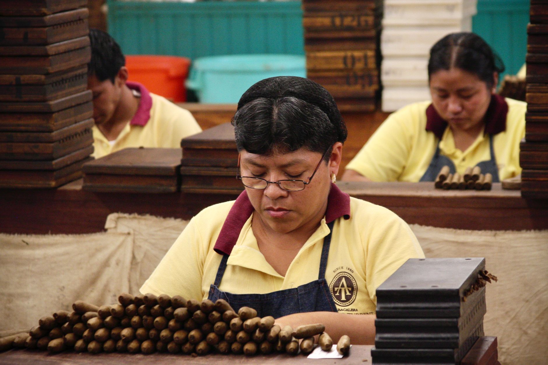Cigar Rolling Artisan