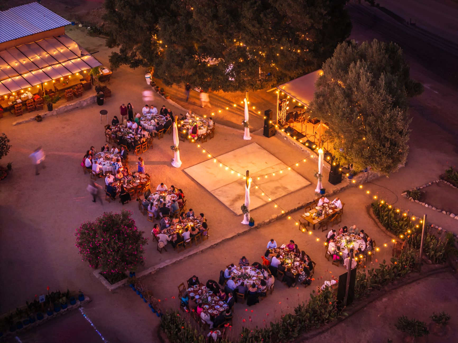 Transform Your Celebration with Decorative Lighting