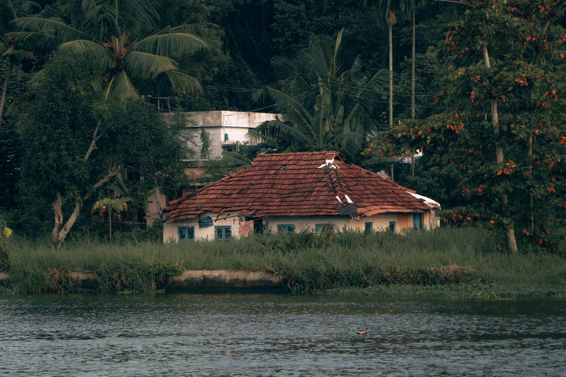 Celebrate Beyond the Ordinary in Kochi