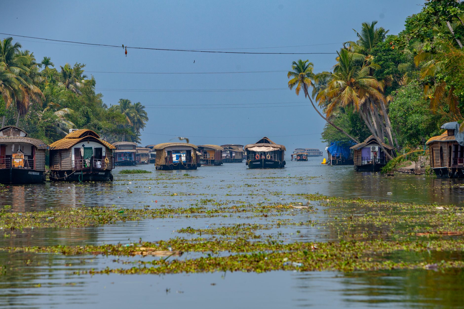 Celebrate on Kochi's Sparkling Waters