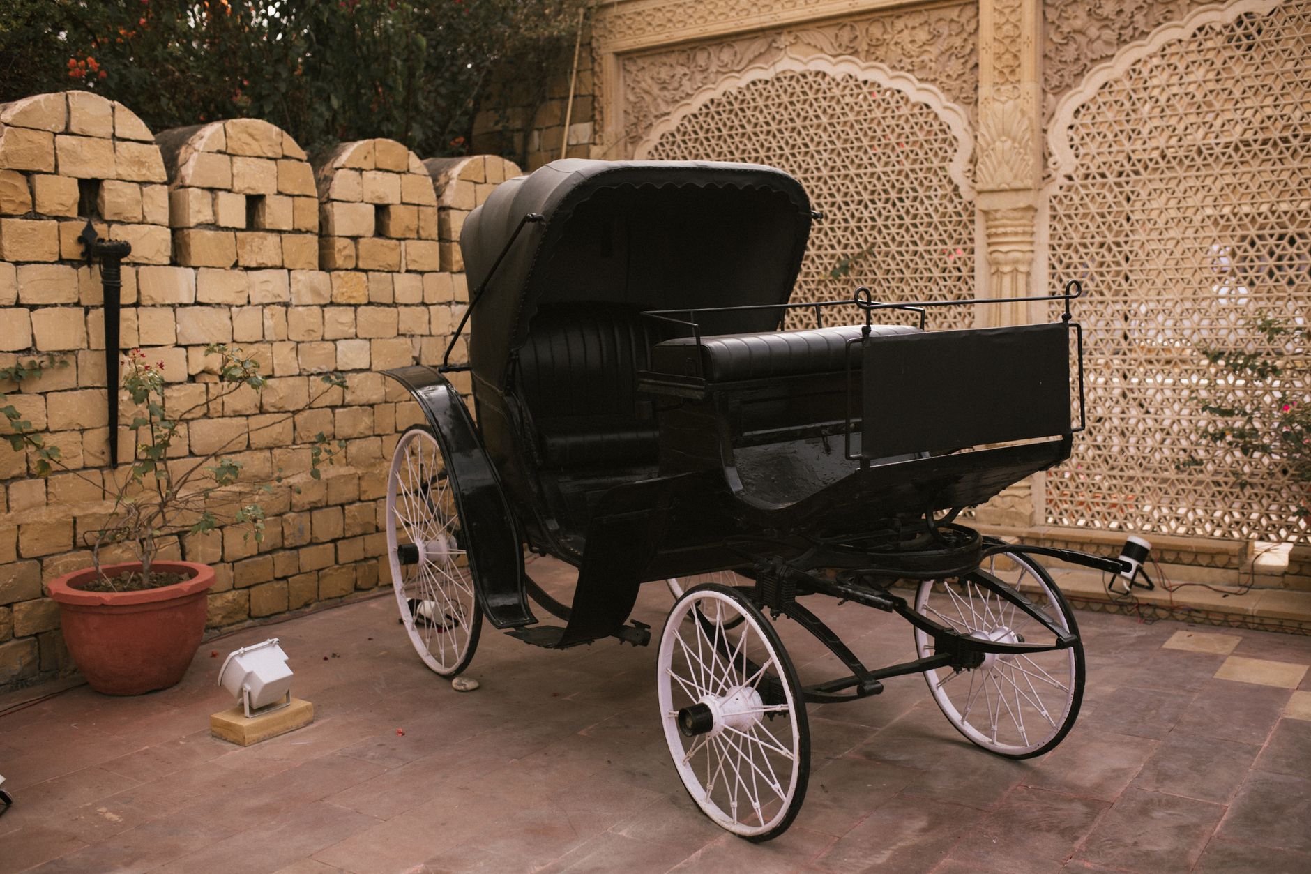 Elegant Horse Carriage Rentals in Kochi