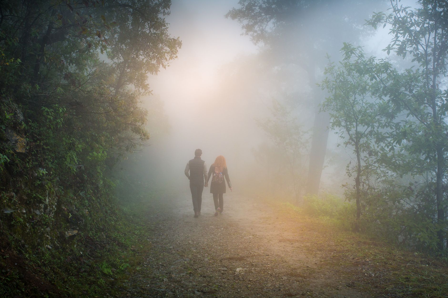Love Captured in the Kodai Mist